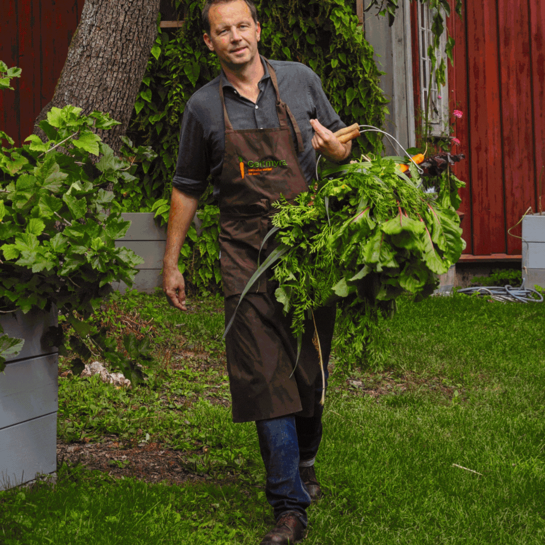 Andreas Viestad: Slik lager du god og grønn mat